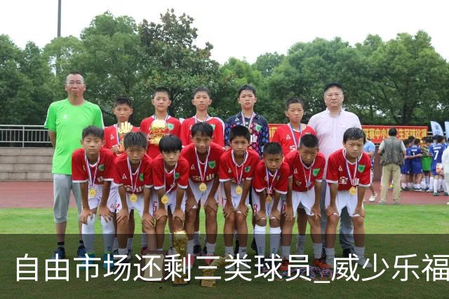自由市场还剩三类球员 威少乐福领衔失业大军？